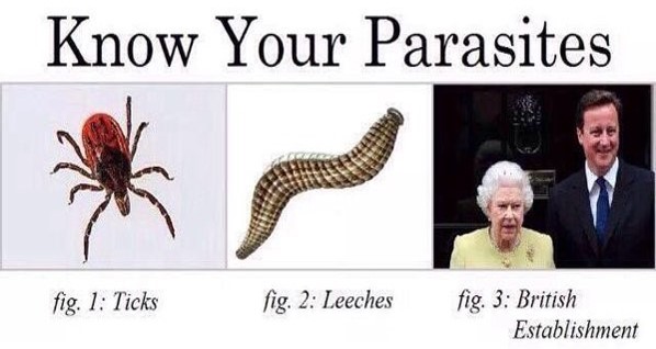 Know Your Parasites