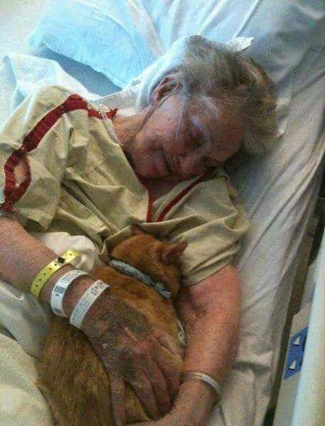 Lady with Cat
