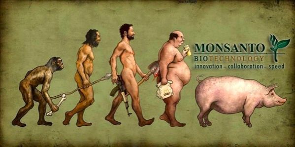 Monsanto
