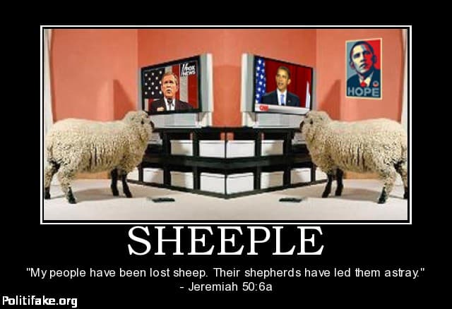 Sheeple fox CNN
