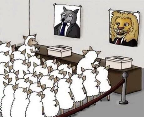 Voting